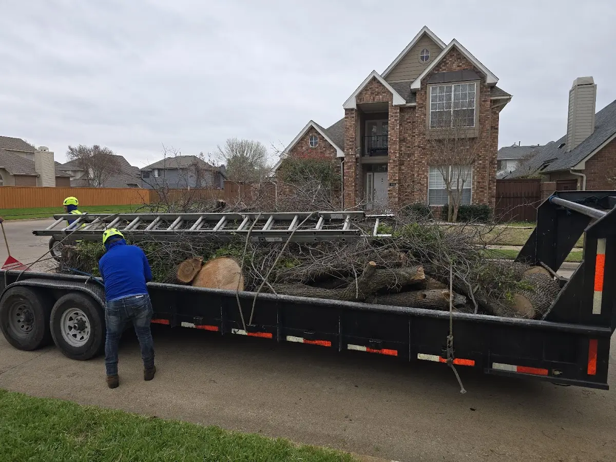 Expert Tree Pest Control with proper safety equipment in Bloxom